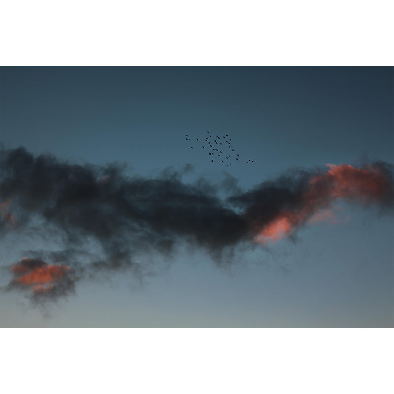 Contemporary Sky Landscapes Mural Environment Friendly Wall Art for Home