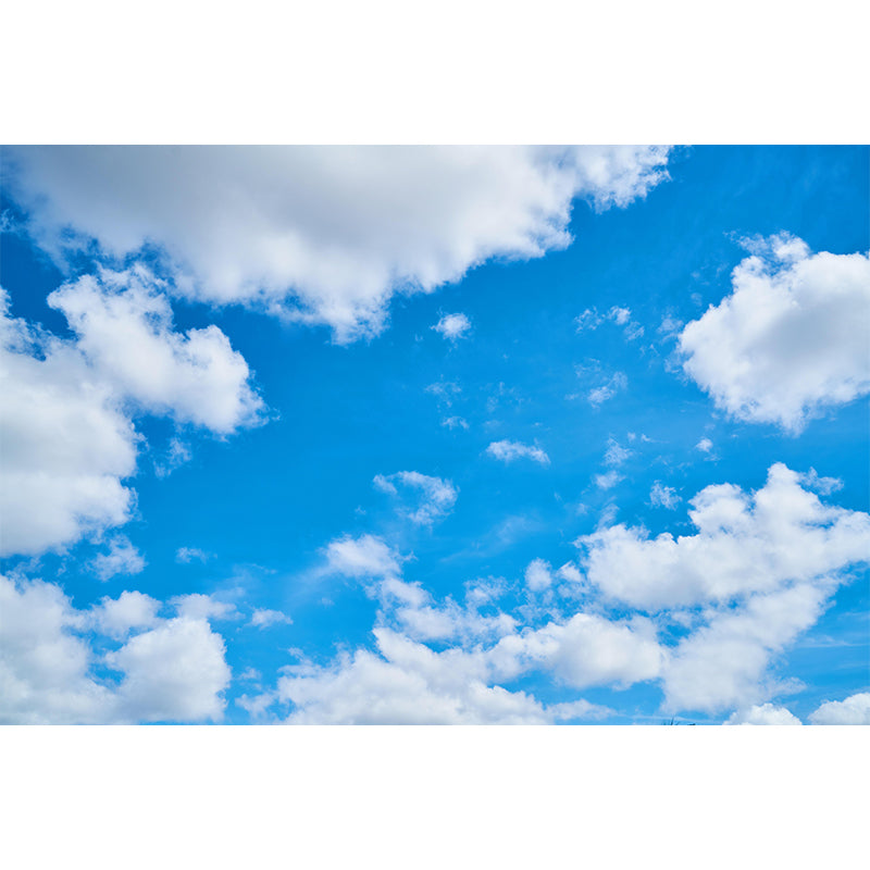 Horizontal Photography Sky Mural Stain Resistant Wall Art for Dining Room