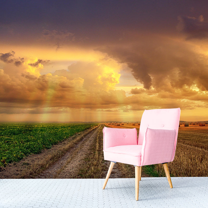 Horizontal Photography Sky Mural Soft Color Stain Resistant Wall Art for Bedroom