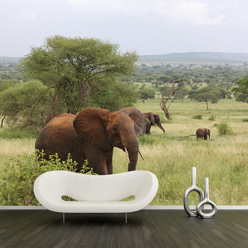 Customized Elephant Wall Mural Horizontal Photography for Sleeping Room Decoration