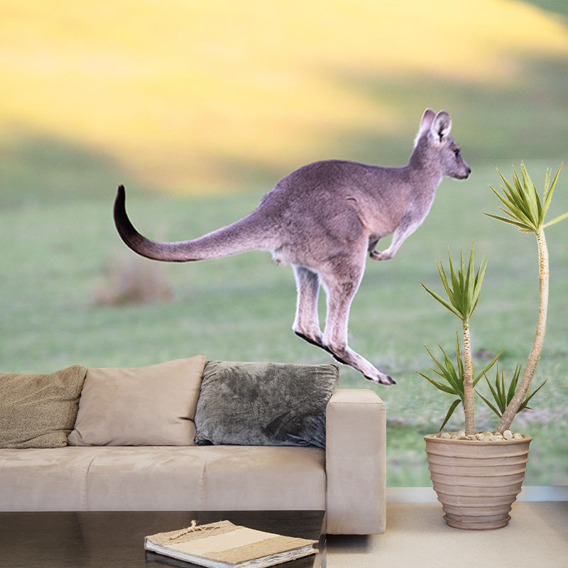 Customized Kangaroo Wall Mural Horizontal Photography for Sleeping Room Decoration