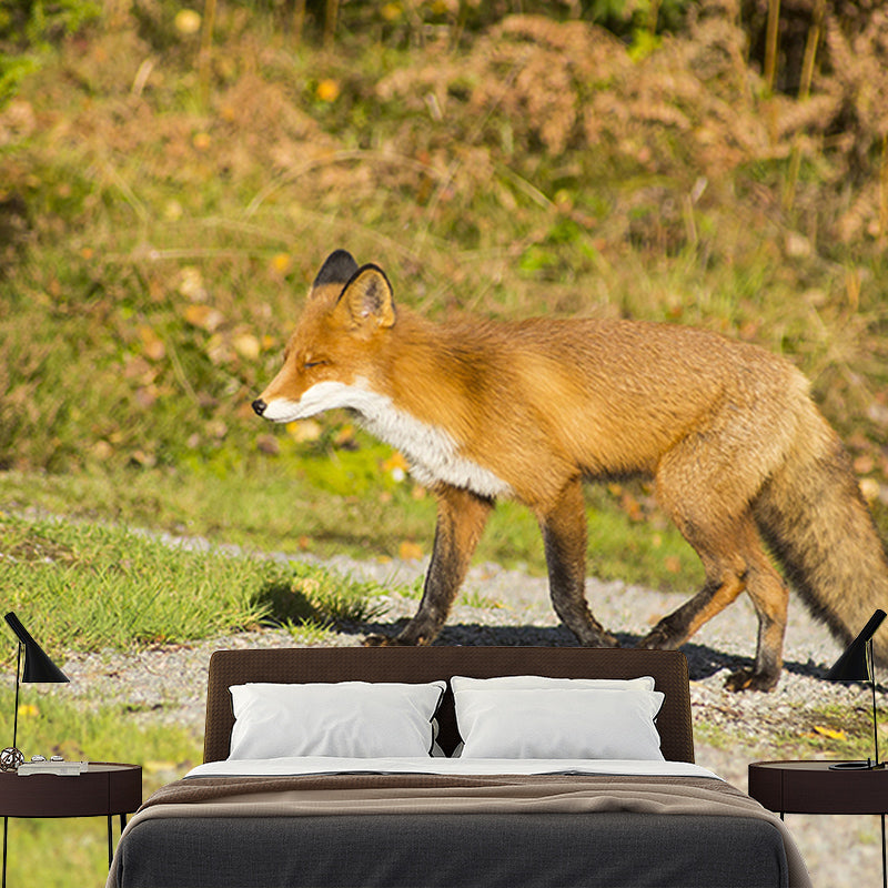 Customized Red Fox Wall Mural Horizontal Photography for Sleeping Room Decoration