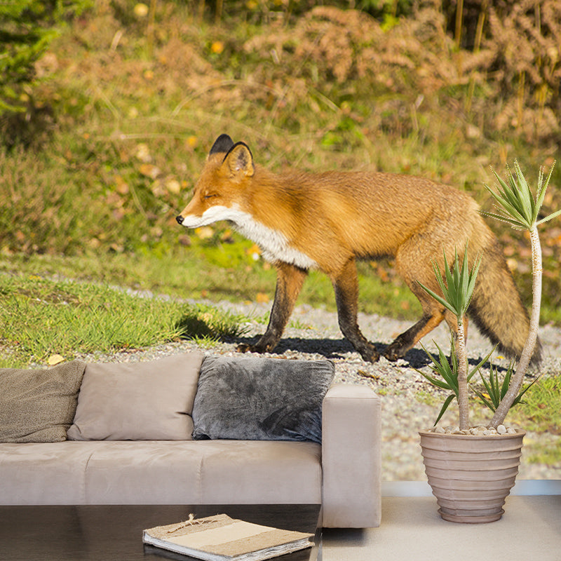 Customized Red Fox Wall Mural Horizontal Photography for Sleeping Room Decoration