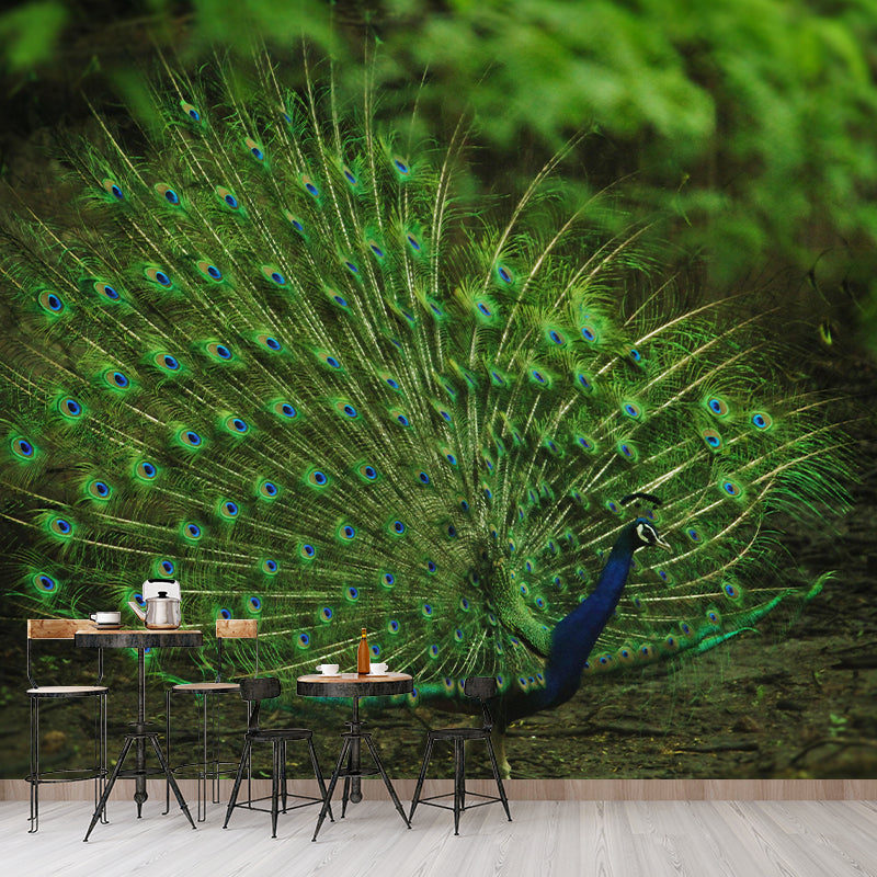 Soft Color Peacock Mural Contemporary Photography for Living Room Decoration