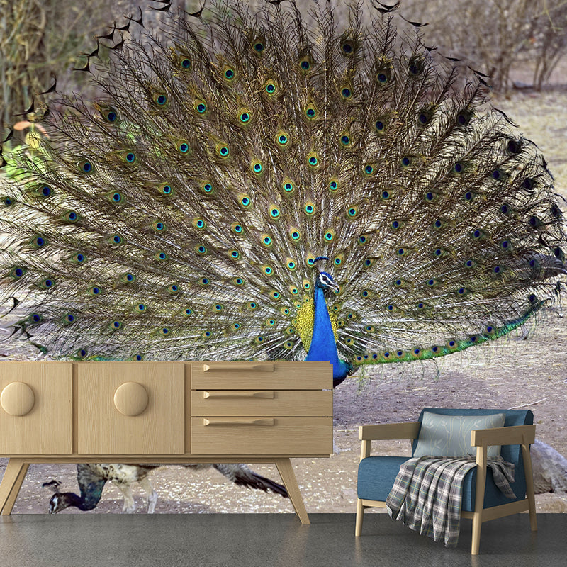 Soft Color Peacock Mural Contemporary Photography for Living Room Decoration