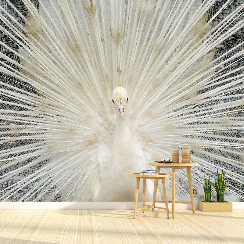 Soft Color Peacock Mural Contemporary Photography for Living Room Decoration