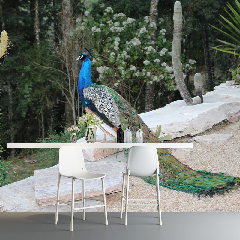 Beautiful Peacock Mural Contemporary Photography for Living Room Decoration