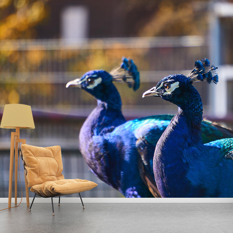Peacock Portrait Mural Contemporary Photography for Living Room Decoration