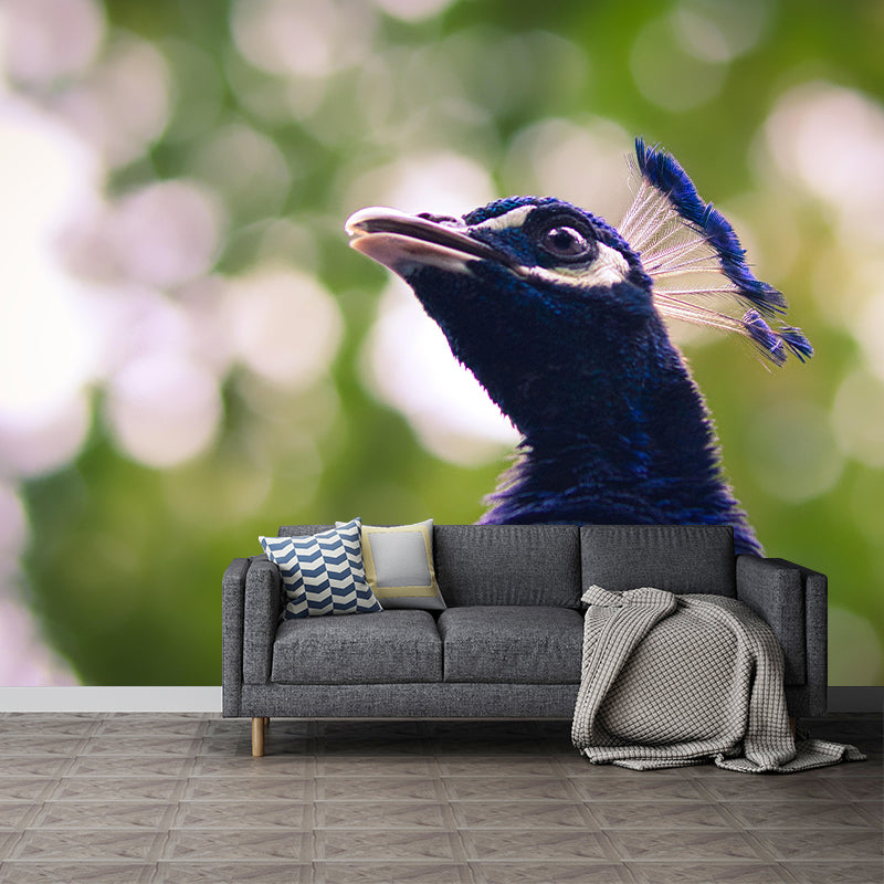 Peacock Portrait Mural Contemporary Photography for Living Room Decoration
