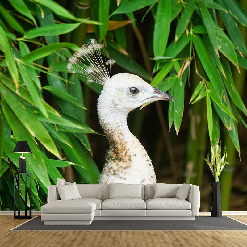 Peacock Portrait Mural Contemporary Photography for Living Room Decoration