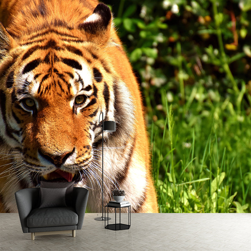 Handsome Tiger Mural Contemporary Photography for Living Room Decoration