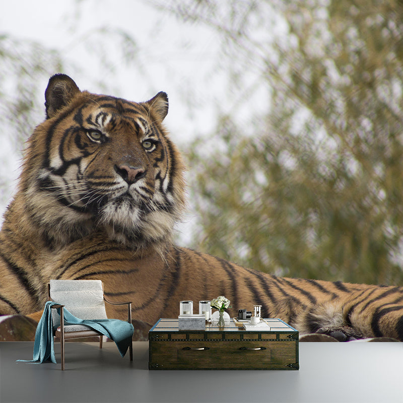 Handsome Tiger Mural Contemporary Photography for Living Room Decoration