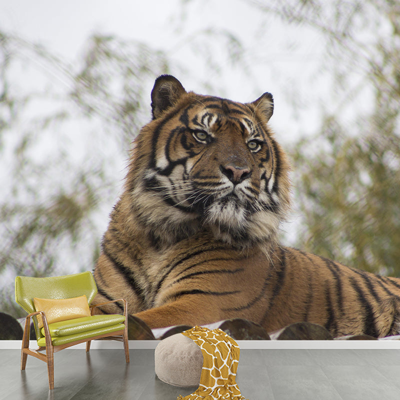 Handsome Tiger Mural Contemporary Photography for Living Room Decoration