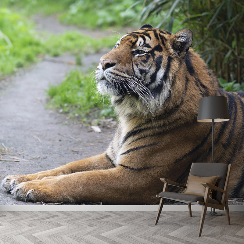 Handsome Tiger Mural Contemporary Photography for Living Room Decoration