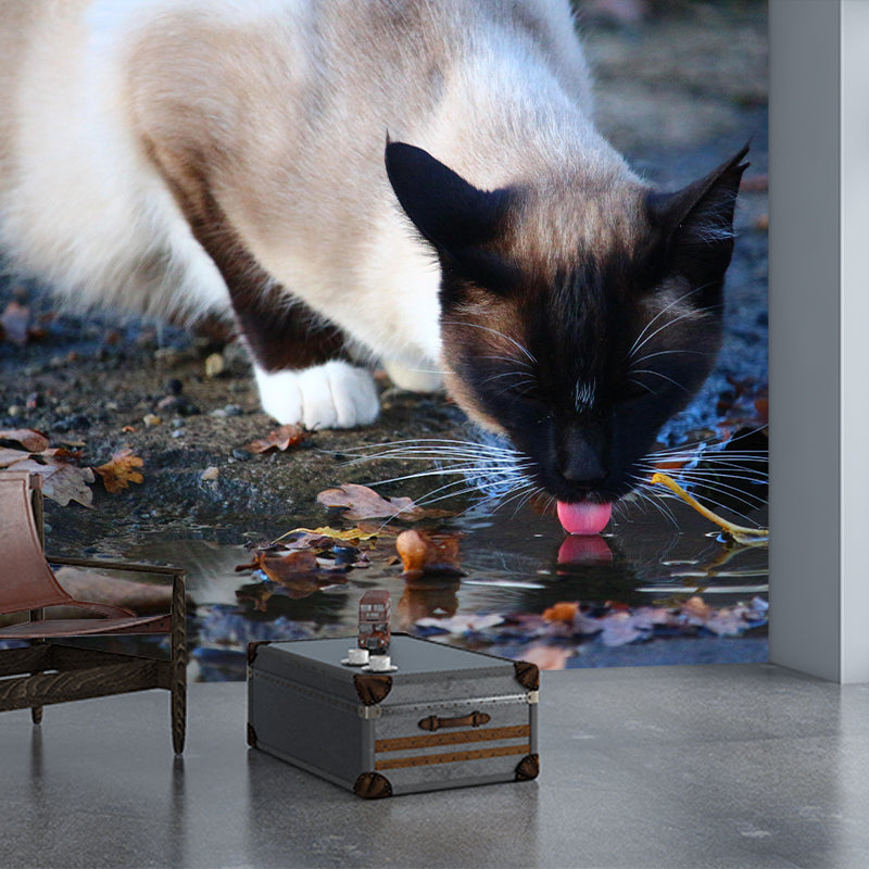 Customized Siamese Cat Wall Mural Horizontal Photography for Sleeping Room Decoration