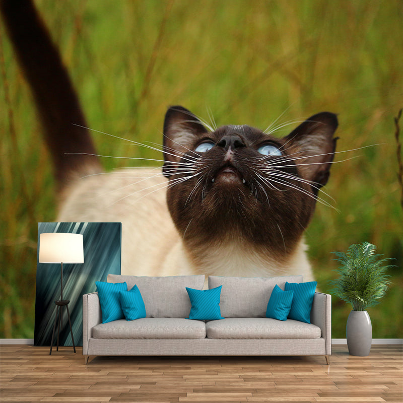 Customized Siamese Cat Wall Mural Horizontal Photography for Sleeping Room Decoration