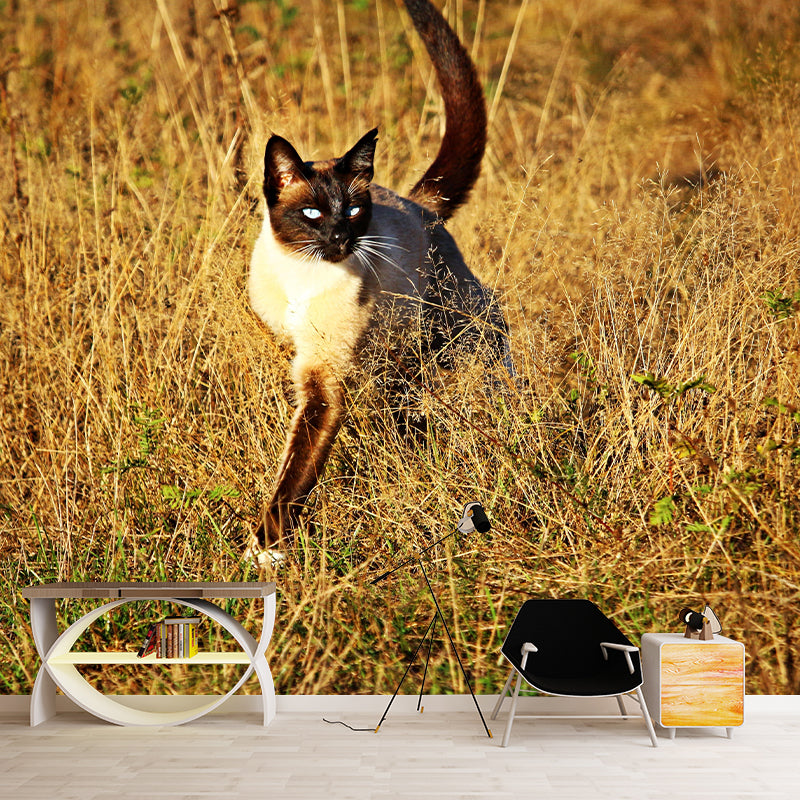 Customized Siamese Cat Wall Mural Horizontal Photography for Sleeping Room Decoration