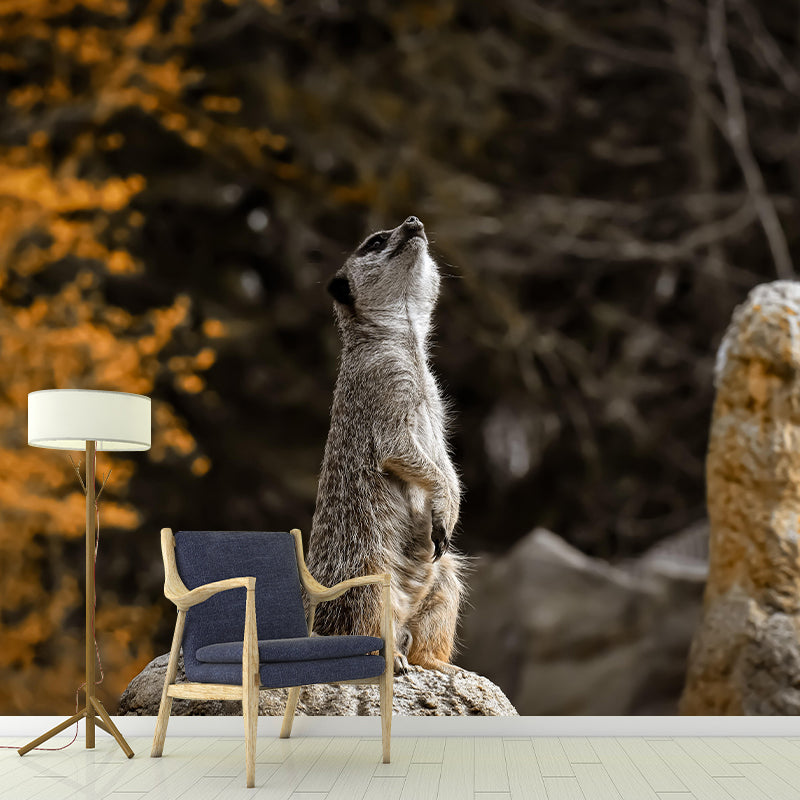 Customized Meerkat Wall Mural Horizontal Photography for Sleeping Room Decoration