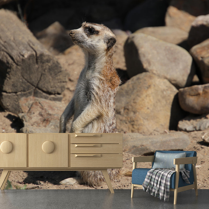 Customized Meerkat Wall Mural Horizontal Photography for Sleeping Room Decoration