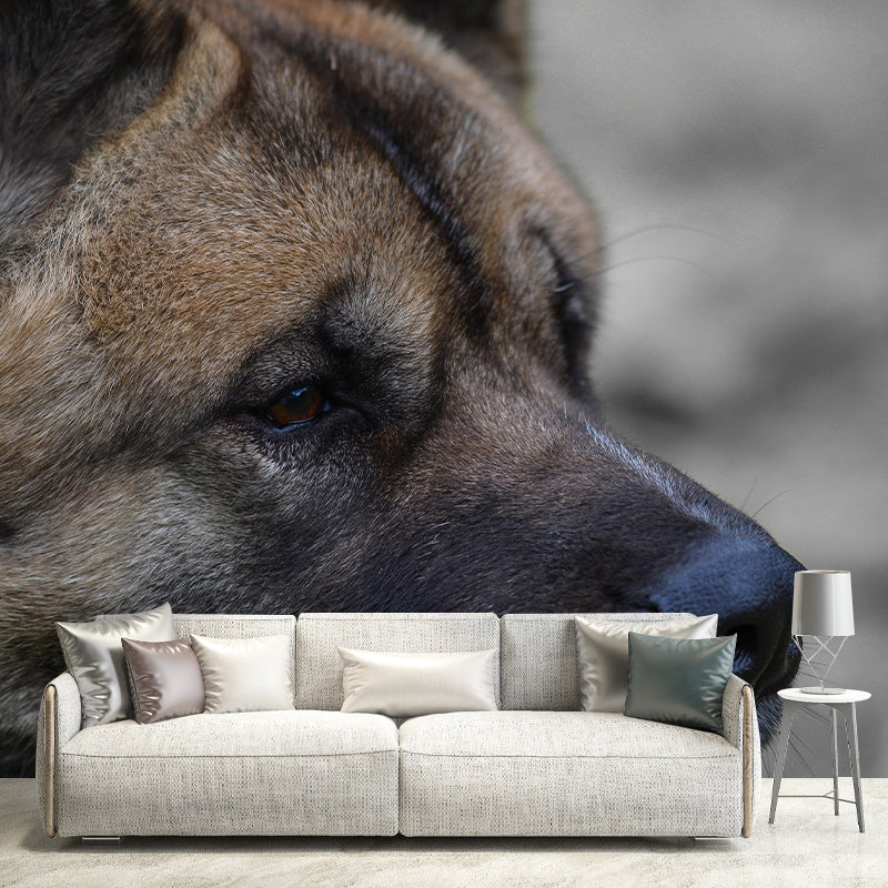 Customized Fierce Akita Wall Mural Horizontal Photography for Sleeping Room Decoration