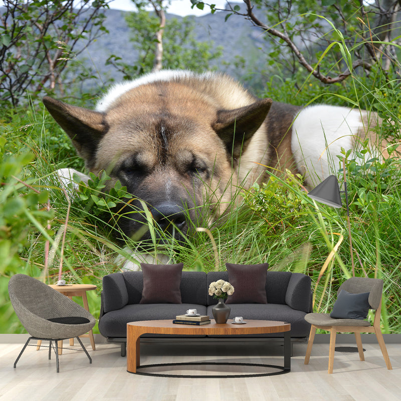 Customized Fierce Akita Wall Mural Horizontal Photography for Sleeping Room Decoration