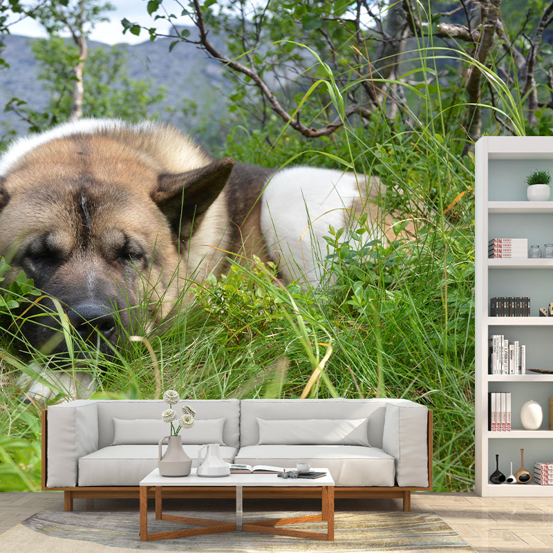 Customized Fierce Akita Wall Mural Horizontal Photography for Sleeping Room Decoration