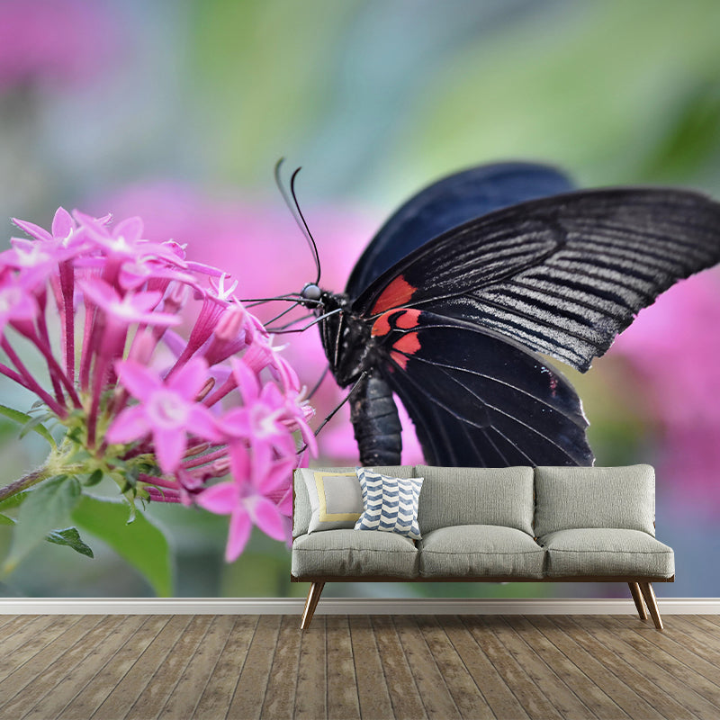 Customized Tropical Butterfly Mural Horizontal Photography for Sleeping Room Decoration