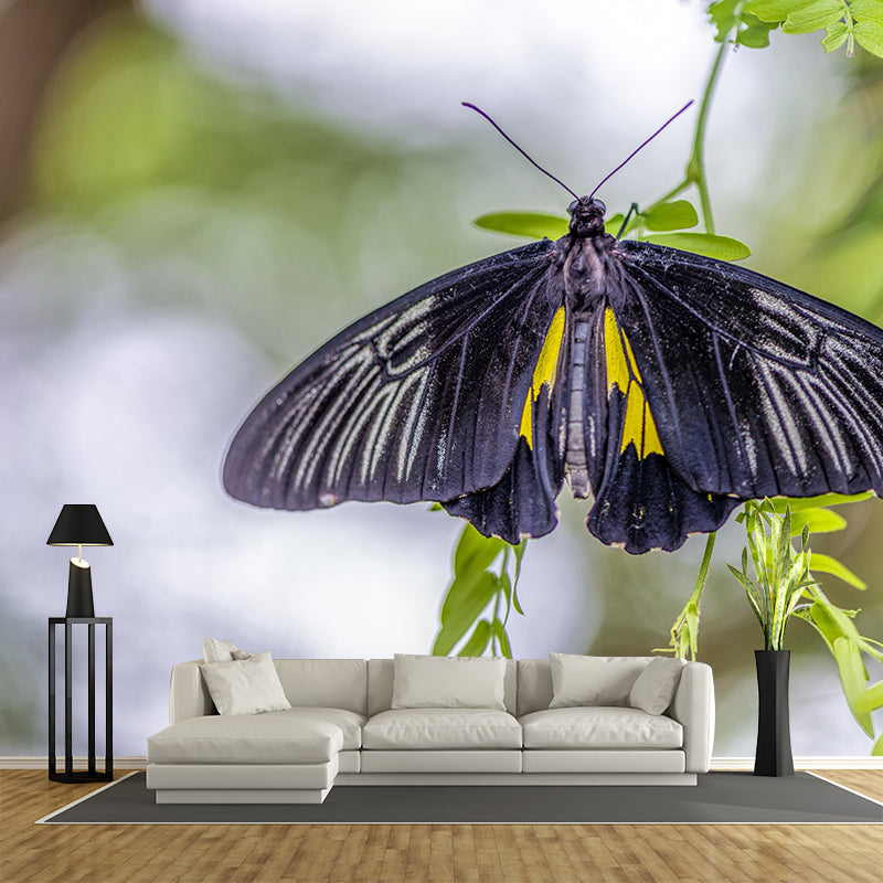 Customized Tropical Butterfly Mural Horizontal Photography for Sleeping Room Decoration