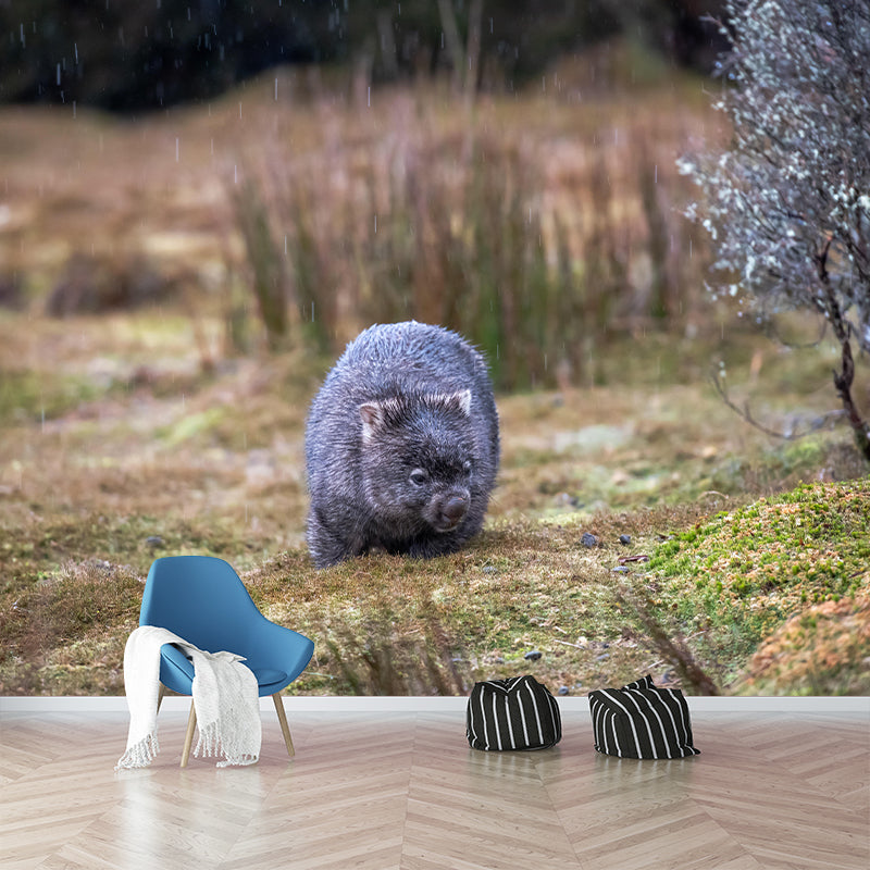 Customized Koala Wall Mural Horizontal Photography for Sleeping Room Decoration