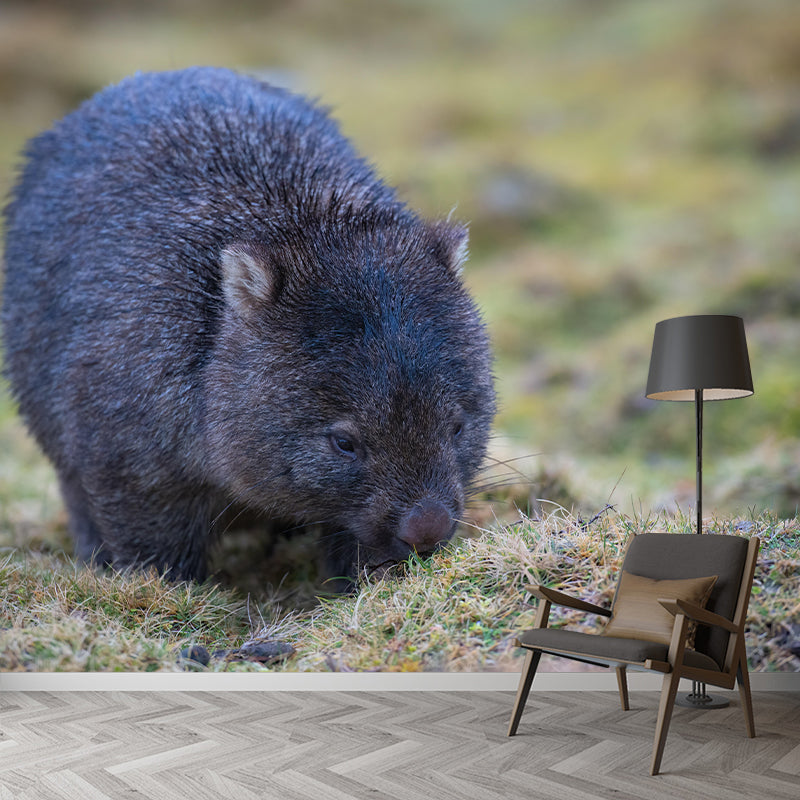 Customized Koala Wall Mural Horizontal Photography for Sleeping Room Decoration