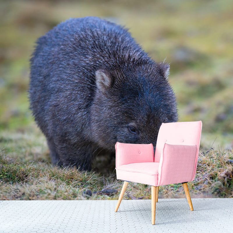 Customized Koala Wall Mural Horizontal Photography for Sleeping Room Decoration