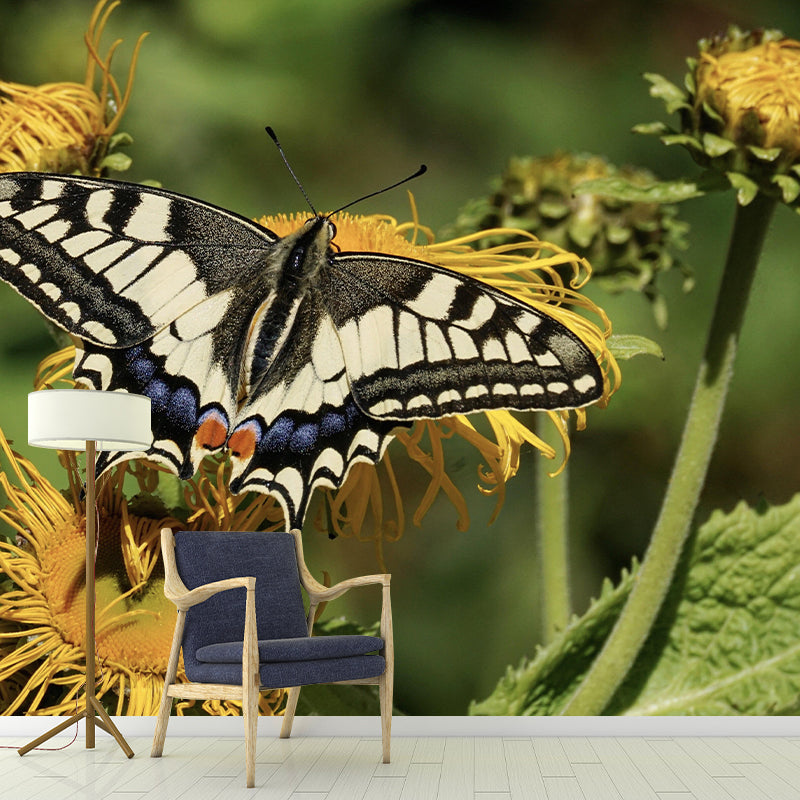 Customized Swallowtail Butterfly Mural Horizontal Photography for Sleeping Room