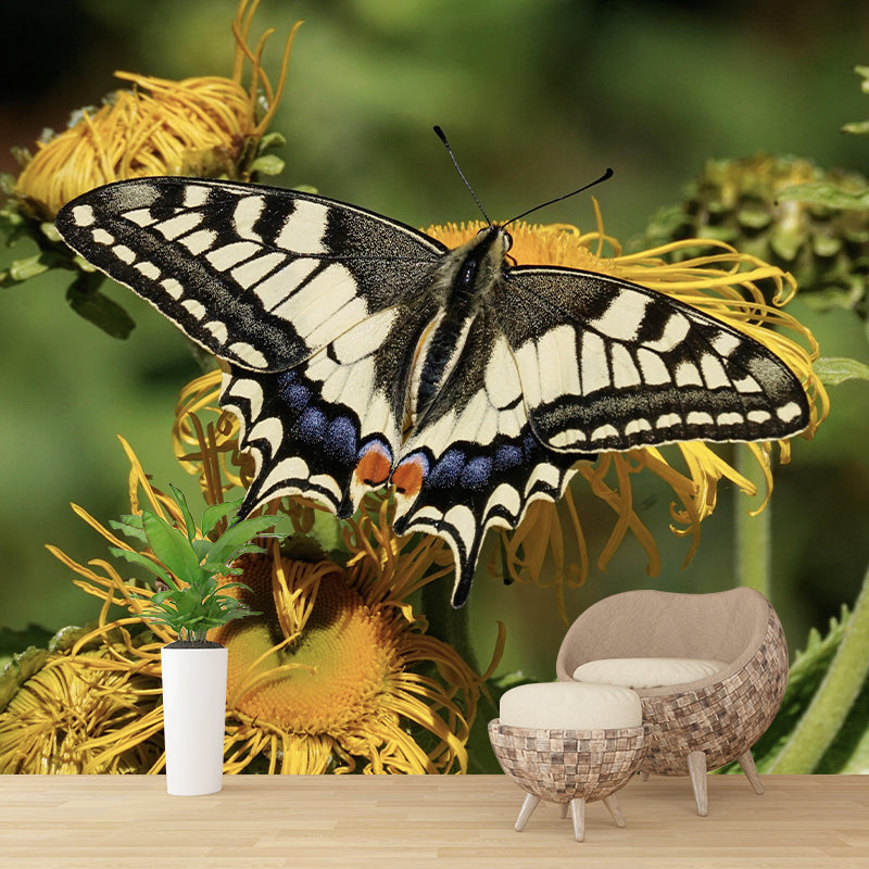 Customized Swallowtail Butterfly Mural Horizontal Photography for Sleeping Room