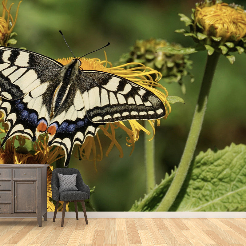 Customized Swallowtail Butterfly Mural Horizontal Photography for Sleeping Room