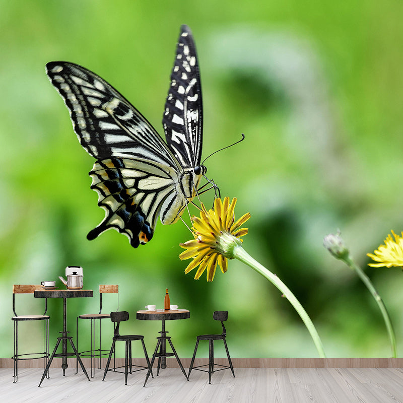 Customized Swallowtail Butterfly Mural Horizontal Photography for Sleeping Room