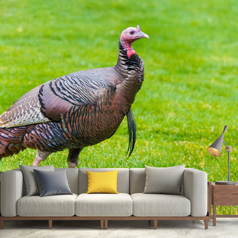 Customized Wild Turkey Wall Mural Horizontal Photography for Sleeping Room