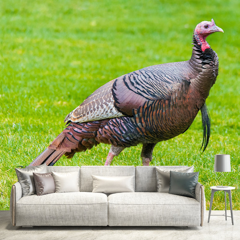 Customized Wild Turkey Wall Mural Horizontal Photography for Sleeping Room