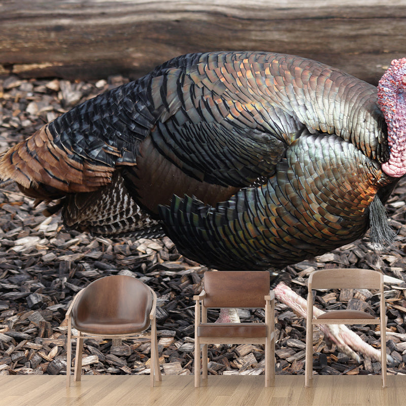 Customized Wild Turkey Wall Mural Horizontal Photography for Sleeping Room