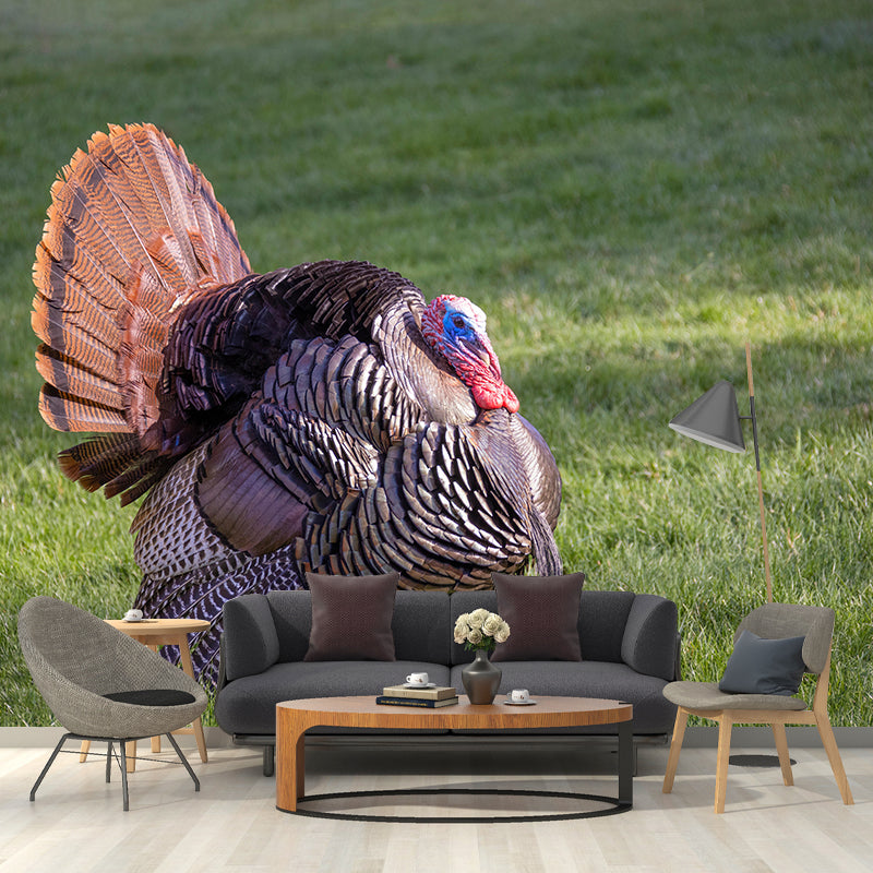 Customized Wild Turkey Wall Mural Horizontal Photography for Sleeping Room
