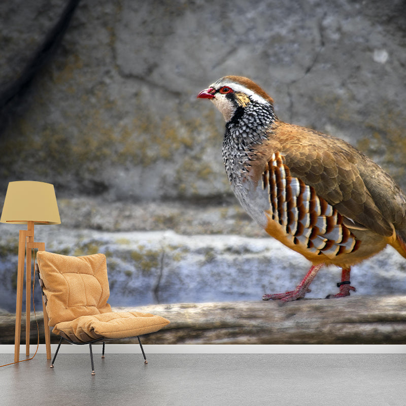 Wild Partridge Mural Contemporary Photography for Living Room Decoration