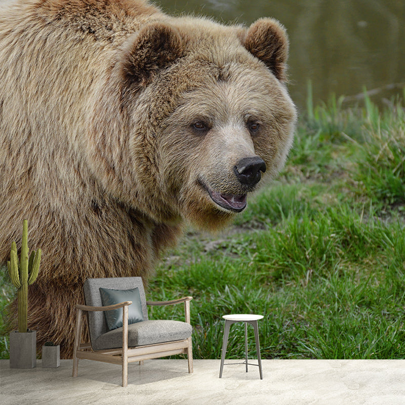 Customized Brown Bear Wall Mural Horizontal Photography for Sleeping Room Decoration