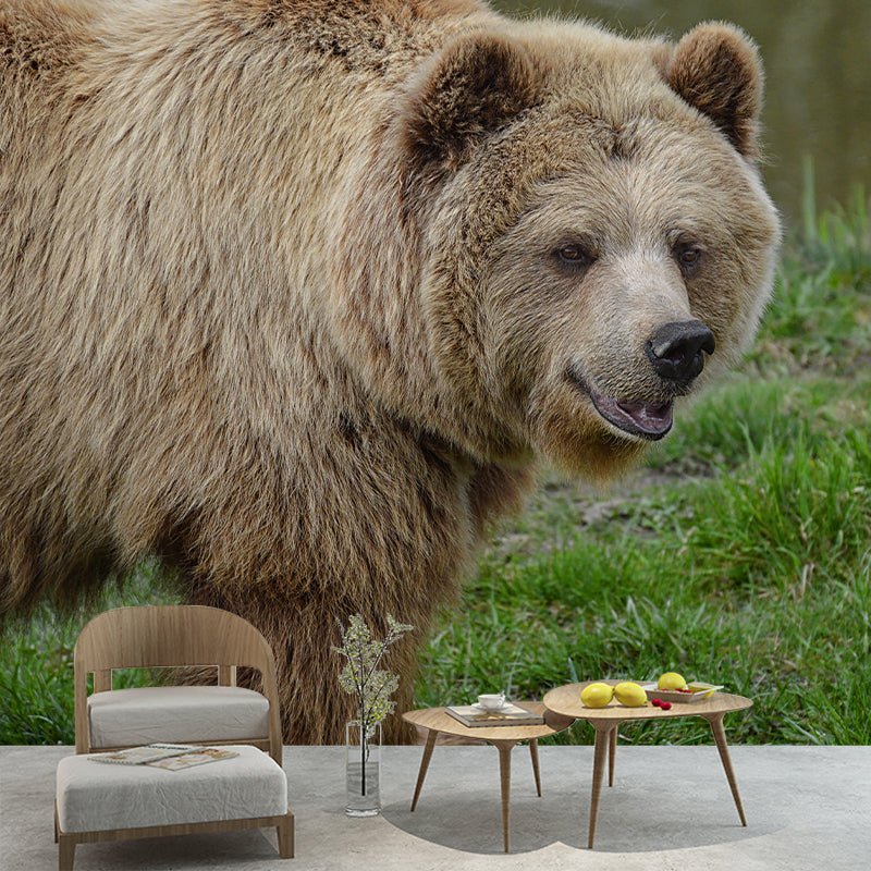 Customized Brown Bear Wall Mural Horizontal Photography for Sleeping Room Decoration