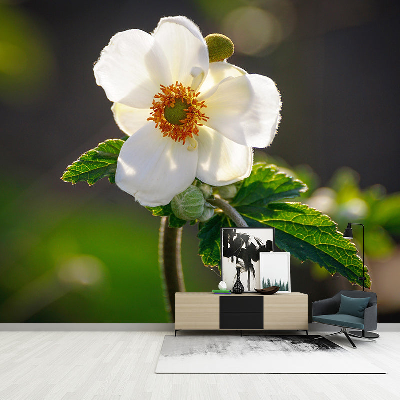 Customized Anemone Flower Mural Horizontal Photography for Sleeping Room