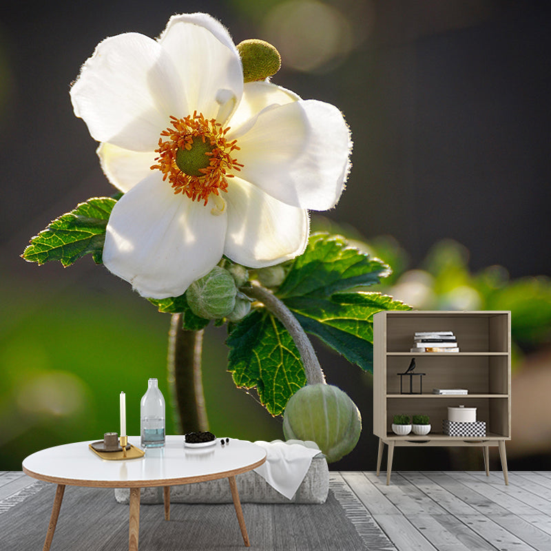 Customized Anemone Flower Mural Horizontal Photography for Sleeping Room