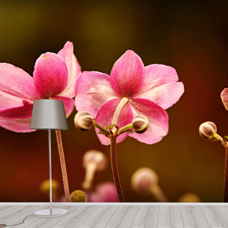 Customized Anemone Flower Mural Horizontal Photography for Sleeping Room