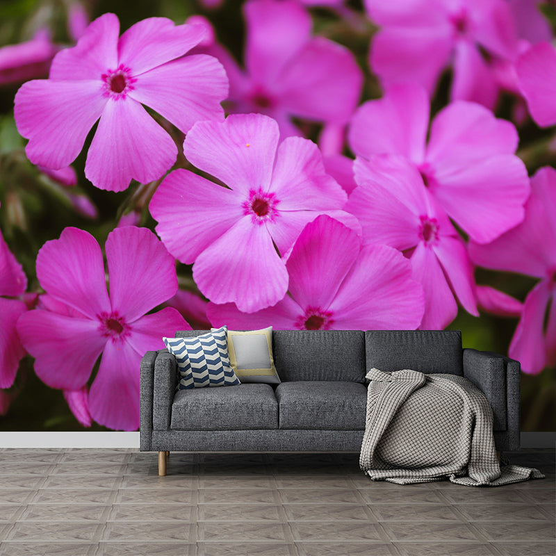 Customized Phlox Flower Wall Mural Horizontal Photography for Sleeping Room