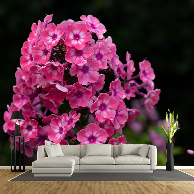 Customized Phlox Flower Wall Mural Horizontal Photography for Sleeping Room