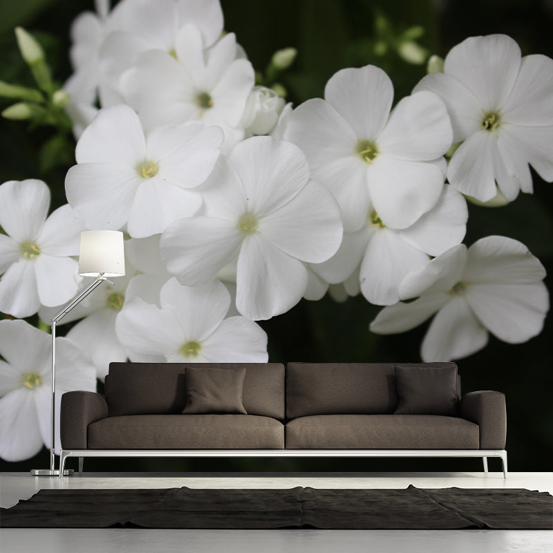 Customized Phlox Flower Wall Mural Horizontal Photography for Sleeping Room