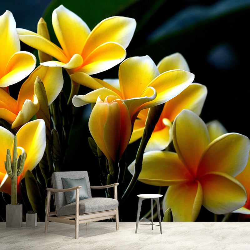 Customized Plumerias Flower Wall Mural Horizontal Photography for Sleeping Room