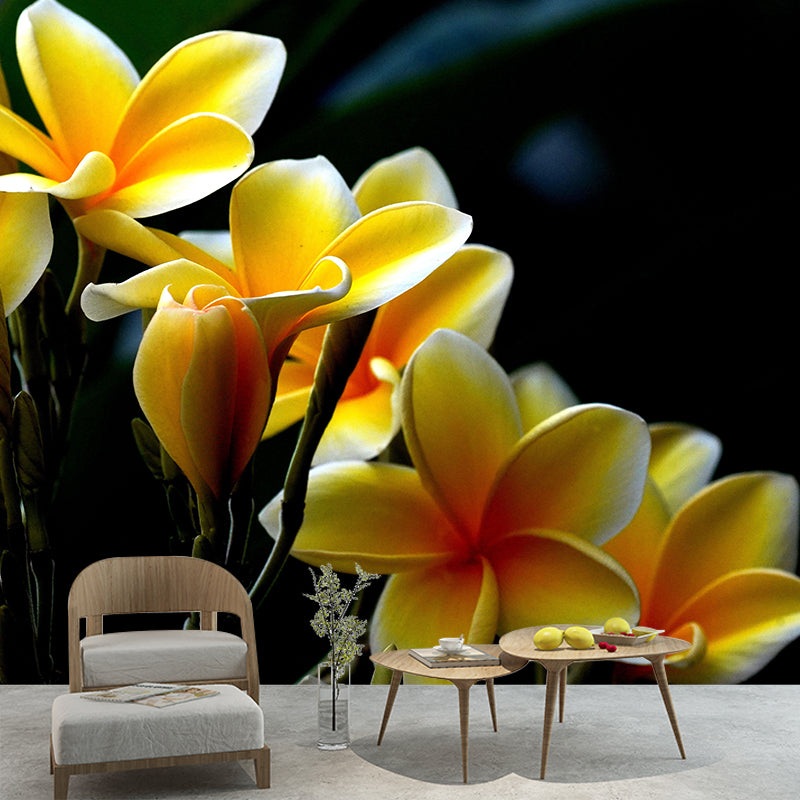 Customized Plumerias Flower Wall Mural Horizontal Photography for Sleeping Room